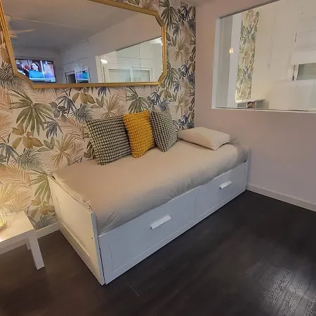 Apartment With A Lot Of *
